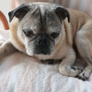 Meet your Posher, Stacy